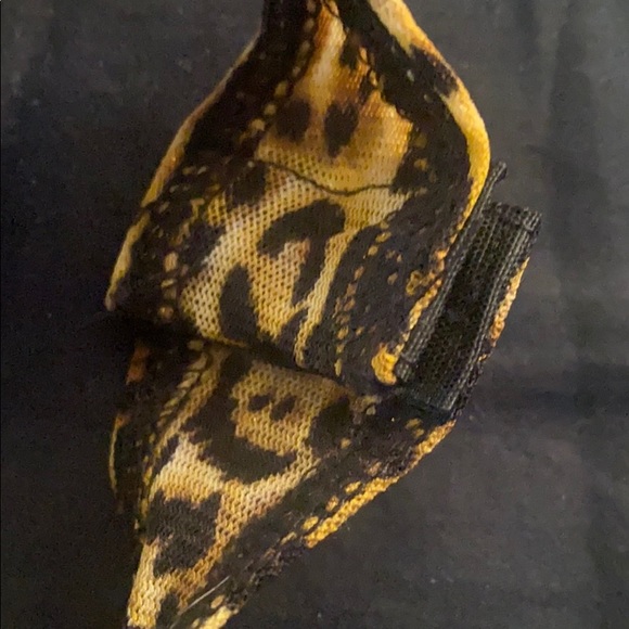 Small tank leopard - Picture 6 of 6